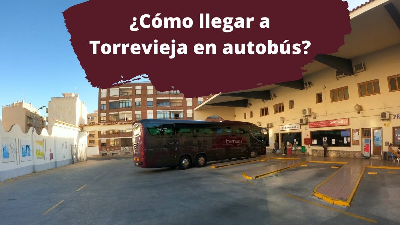 Conoce mejor las opciones que ofrece la ciudad de Torrevieja
