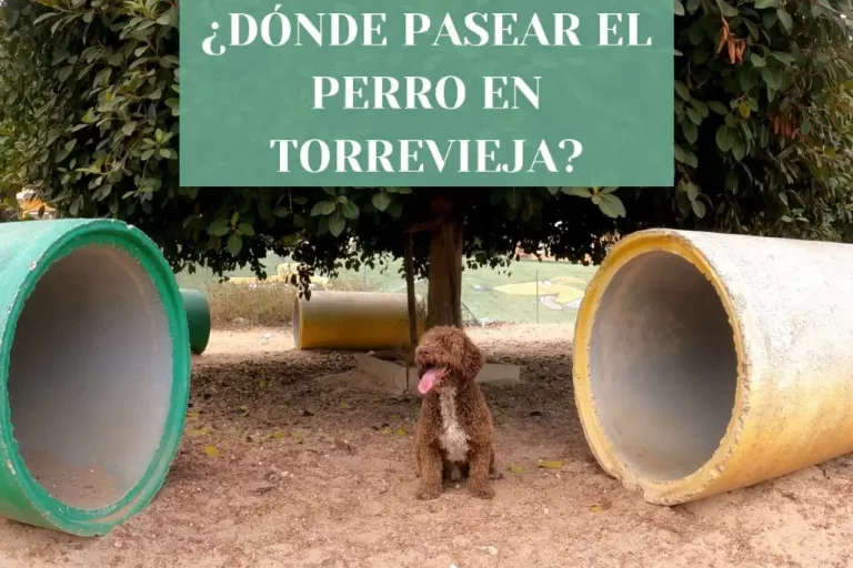 ¿Dónde pasear el perro en Torrevieja?