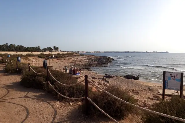 Playa canina de Torrevieja
