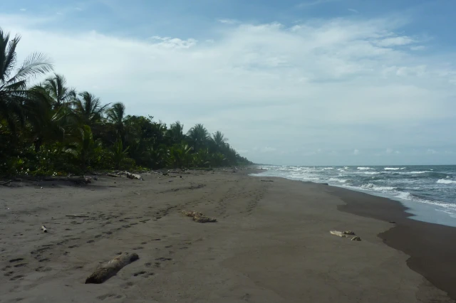 Playa del Tortuguero